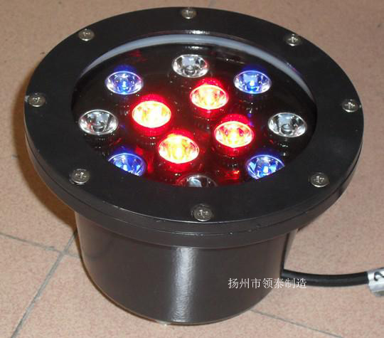 DMD-006(图1)